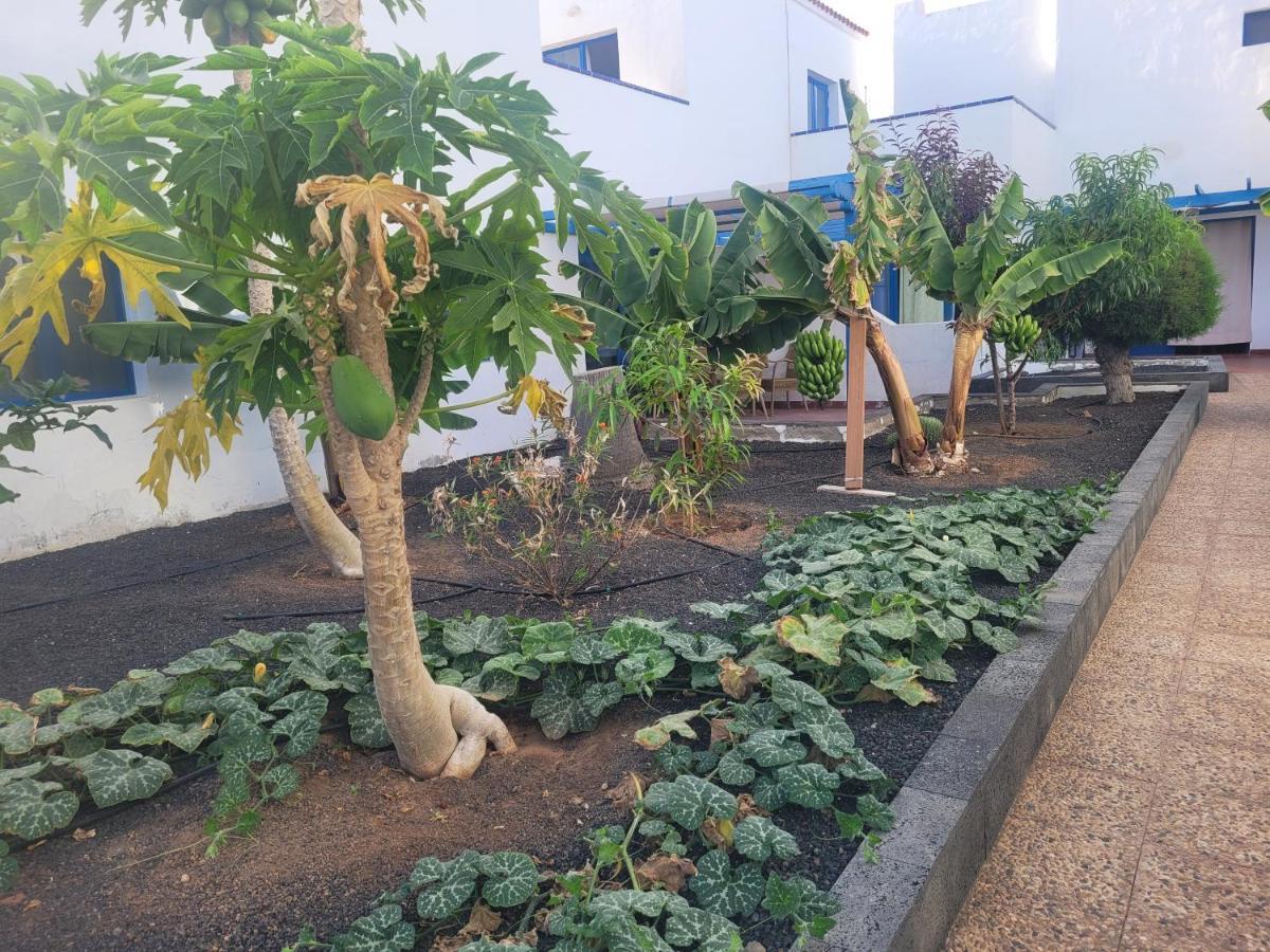 Nenita Apartment Caleta De Fuste Exterior photo